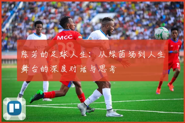 陈芳的足球人生：从绿茵场到人生舞台的深度对话与思考