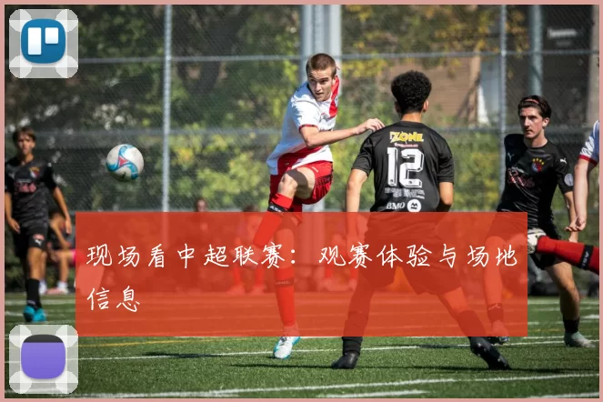 现场看中超联赛：观赛体验与场地信息