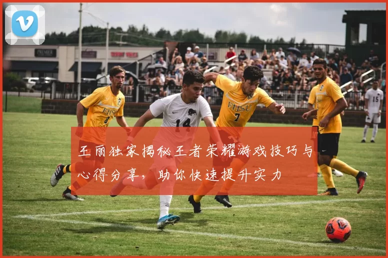 王丽独家揭秘王者荣耀游戏技巧与心得分享，助你快速提升实力