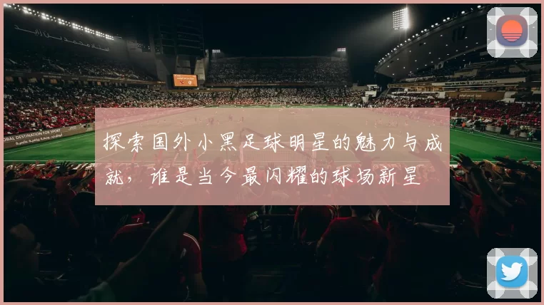 探索国外小黑足球明星的魅力与成就，谁是当今最闪耀的球场新星