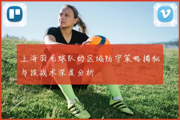 上海羽毛球队的区域防守策略揭秘与技战术深度分析