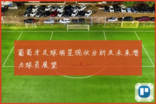 葡萄牙足球明星现状分析及未来潜力球员展望