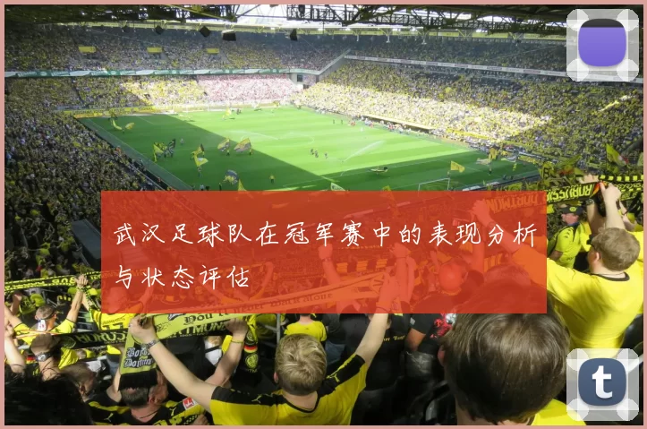 武汉足球队在冠军赛中的表现分析与状态评估