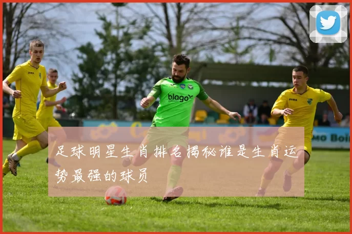 足球明星生肖排名揭秘谁是生肖运势最强的球员