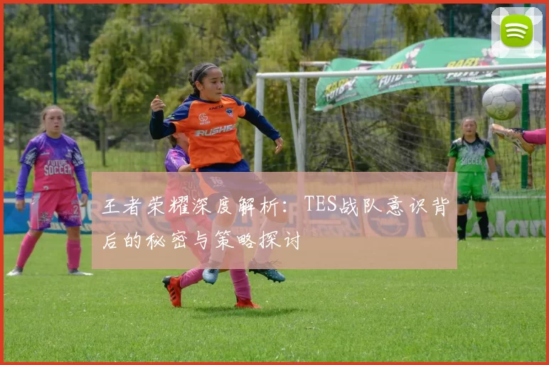 王者荣耀深度解析：TES战队意识背后的秘密与策略探讨