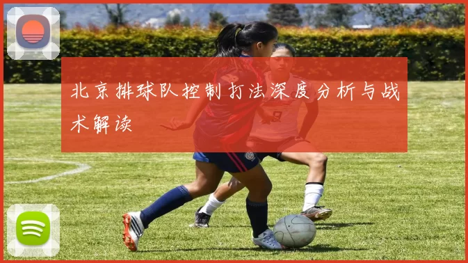 北京排球队控制打法深度分析与战术解读