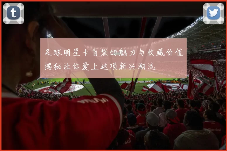足球明星卡盲袋的魅力与收藏价值揭秘让你爱上这项新兴潮流