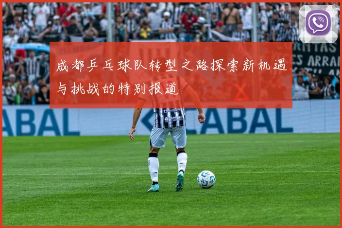 成都乒乓球队转型之路探索新机遇与挑战的特别报道