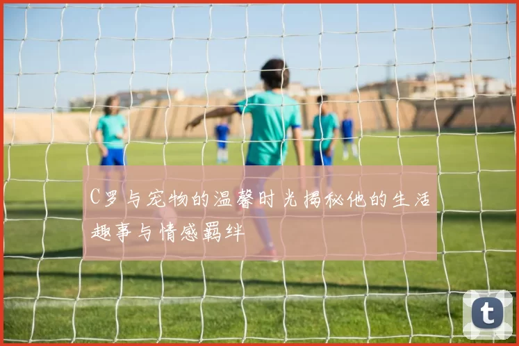 C罗与宠物的温馨时光揭秘他的生活趣事与情感羁绊