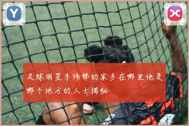 足球明星李玮锋的家乡在哪里他是哪个地方的人士揭秘