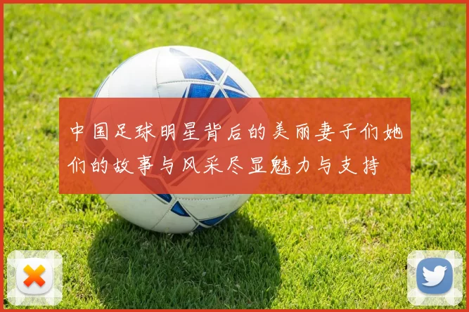 中国足球明星背后的美丽妻子们她们的故事与风采尽显魅力与支持